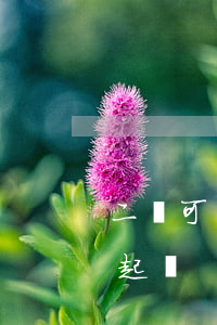 二審可以撤銷原訴訟嗎(二審撤銷原判并駁回起訴)