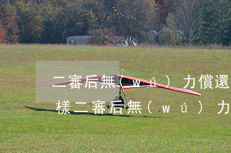 二審后無(wú)力償還會(huì)怎么樣（二審后無(wú)力償還）