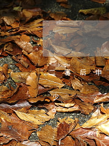 二審后申請再審律師費用(申請再審律師費多少)
