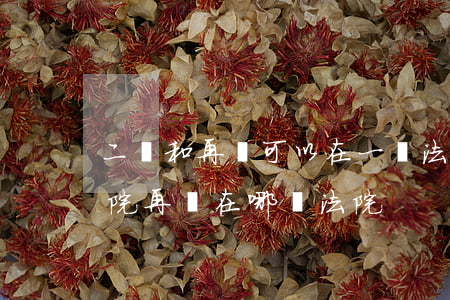 二審和再審可以在一個法院嗎(二審在中級法院再審在哪個法院?)