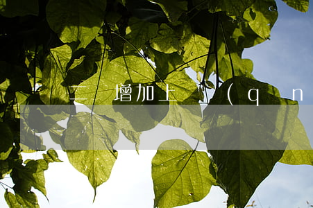 二審增加上訴請(qǐng)求