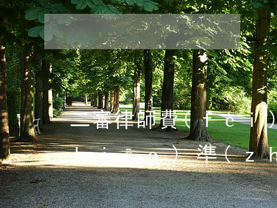 二審律師費(fèi)收費(fèi)標(biāo)準(zhǔn)(民事案件二審律師費(fèi)收費(fèi)標(biāo)準(zhǔn))