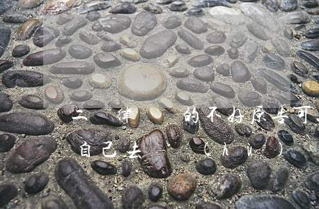 二審律師辯的不好原告可以自辯嗎(二審可以自己去辯護(hù)嗎)
