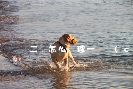 二審怎么審理一審錯(cuò)案