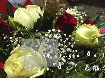 二審找關(guān)系能翻案嗎(二審找關(guān)系能改判嗎)