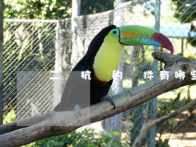 二審抗訴的條件有哪些,二審審理期限是多久