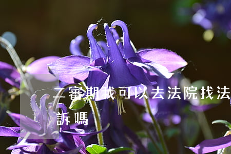 二審期我可以去法院找法官嗎(二審法官怕申訴嗎)
