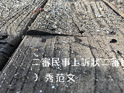 二審民事上訴狀(二審民事上訴狀優(yōu)秀范文)
