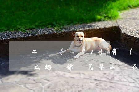二審沒(méi)有請(qǐng)律師怎么起訴律師?(民事二審不請(qǐng)律師可以嗎)