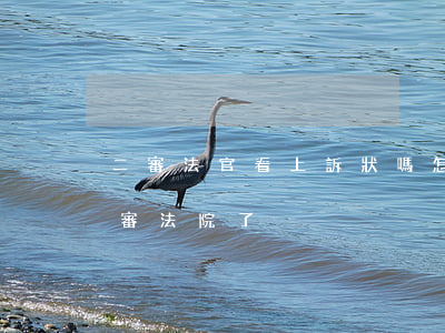 二審法官看上訴狀嗎(怎么知道上訴狀交到二審法院了)