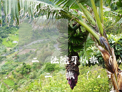 二審法院可以撤銷(xiāo)二審的判決嗎(二審撤銷(xiāo)原判并駁回起訴)