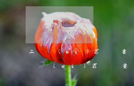 二審無(wú)罪賠償要點(diǎn)(二審無(wú)罪賠償要點(diǎn))