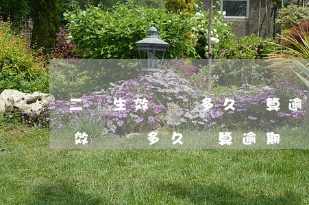 二審生效時間多久計算逾期滯納金-二審生效時間多久計算逾期滯納金呢