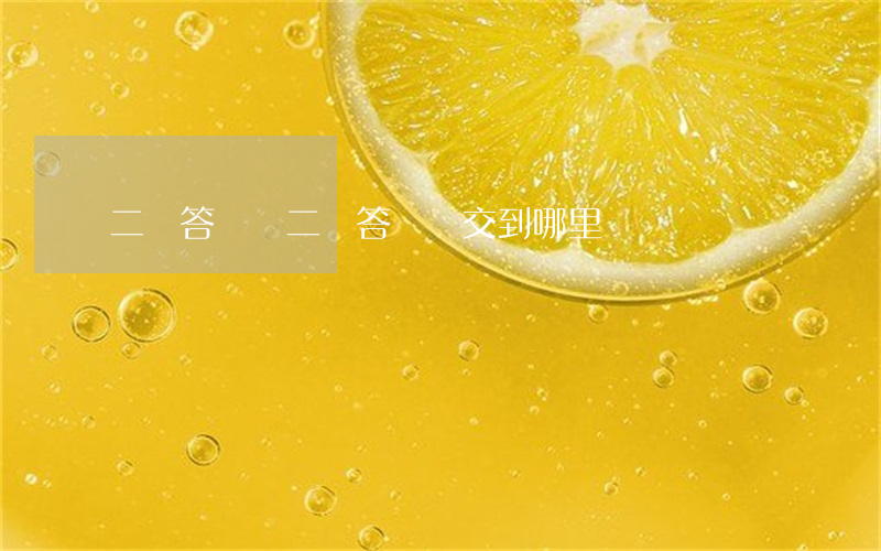 二審答辯狀(二審答辯狀交到哪里)