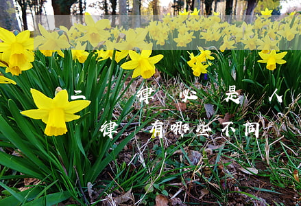 二審請律師必須是愛人嗎(一審請律師跟二審請律師有哪些不同)
