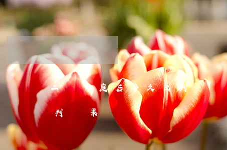二審開庭后多久出判決結果(法院二審多久宣判結果)