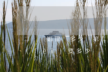 二審離婚律師多少錢(第二次起訴離婚律師費(fèi)要多少)