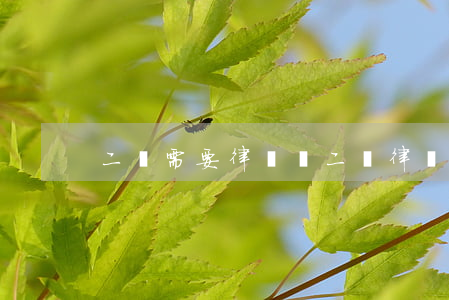 二審需要律師嗎(二審律師需要做哪些事情?)