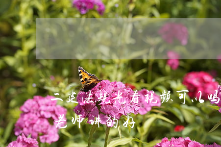 二建法规光看视频可以吗(二建法规视频哪个老师讲的好)