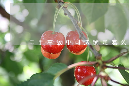 二手事故車司法鑒定怎么做(二手車鑒定方法)