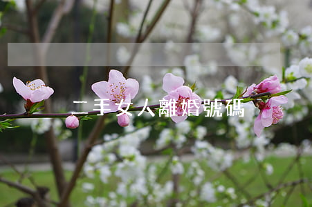 二手女人離婚號碼