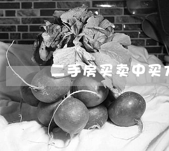二手房买卖中买方能否退房