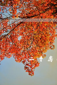 二手房买卖合同样本