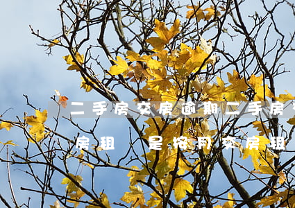二手房交房逾期 二手房交房逾期幾天按天交房租還是按月交房租