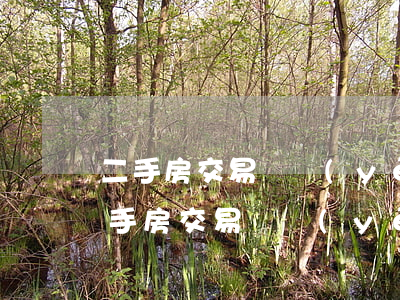 二手房交易營業(yè)稅標準是怎樣的（二手房交易營業(yè)稅標準）