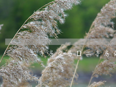 二手房交易稅(二手房交易稅費)