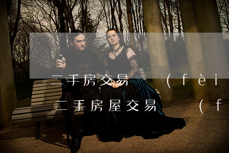 二手房交易稅費(fèi)規(guī)定(二手房屋交易稅費(fèi))
