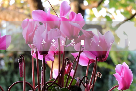 二手房交易費(fèi)用