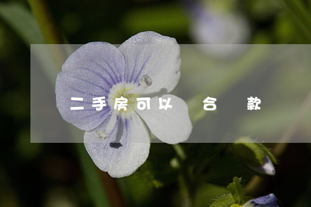 二手房可以組合貸款嗎