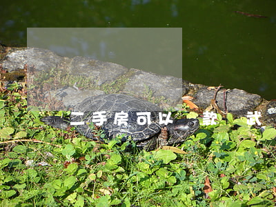 二手房可以貸款嗎(武漢二手房可以貸款嗎)