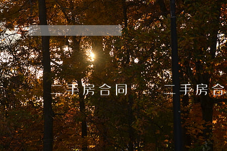 二手房合同糾紛(二手房合同糾紛案例)