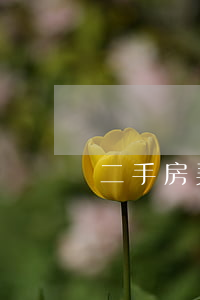 二手房契稅