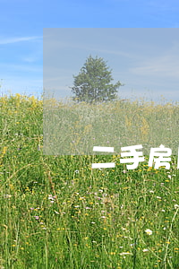 二手房尾款逾期起訴書 房貸逾期起訴書