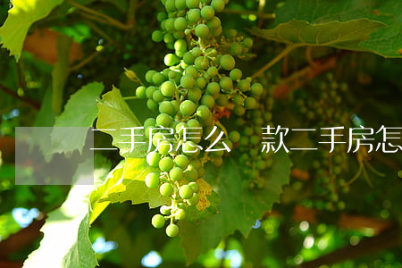 二手房怎么貸款(二手房怎么貸款買房)
