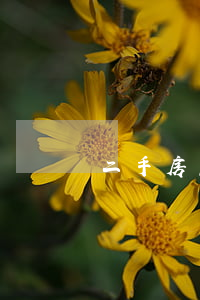 二手房怎么贷款(二手房怎么贷款买房)