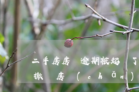 二手房房貸逾期被起訴了,需要擔保公司一塊撤訴（房產(chǎn)抵押逾期被起訴二審）