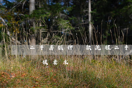 二手房抵押貸款流程(二手房抵押貸款流程及審核要求)