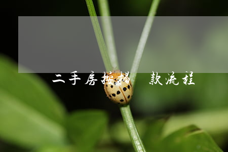 二手房按揭貸款流程