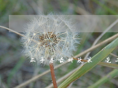 二手房最新政策(東莞二手房最新政策)