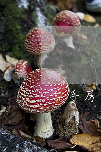 二手房未滿兩年稅費(fèi)怎么算出