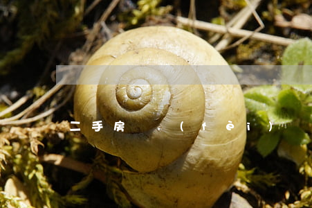 二手房稅費(fèi)