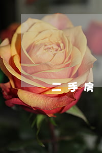 二手房稅費(fèi)一覽表