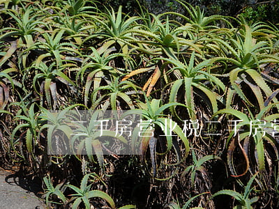 二手房 营业税(二手房营业税税率是多少)
