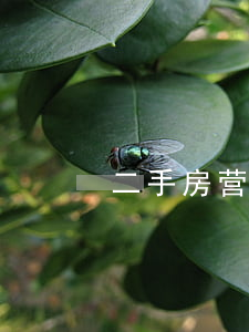二手房营业税怎么算