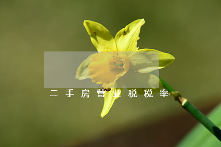 二手房营业税税率