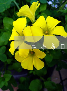二手房裝修注意事項